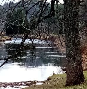 Meet your Posher, Karen lee